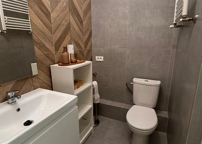 16 Lägenhet Timişoara